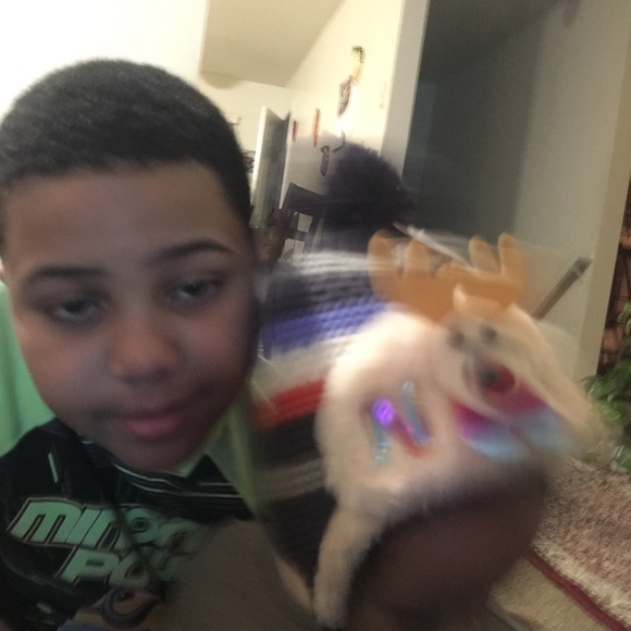 Meet your Posher, Dina - Picture 3 of 4